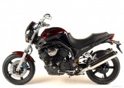 Yamaha BT1100 Bulldog Yamaha BT1100 Bulldog
